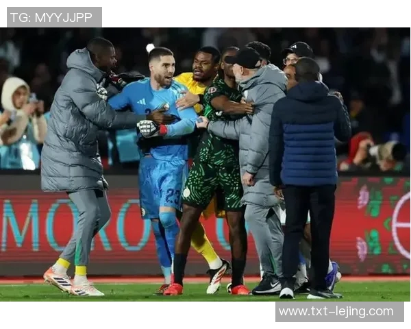 阿尔及利亚与尼日利亚比赛结果分析及精彩瞬间回顾